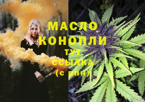 гидропоника Алзамай